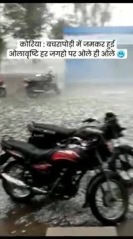 मैनपाट में जमकर गिरा ओलावृष्टि ...घर, मवेशी व फसलों का अध्यधिक नुक्सान #ओलावृष्टि