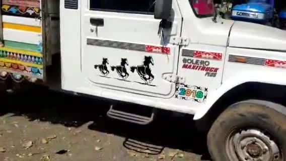 सागर नगर: सानौधा थाना क्षेत्र अंतर्गत #पशु तस्करों को सानोधा थाना पुलिस ने किया गिरफ्तार।