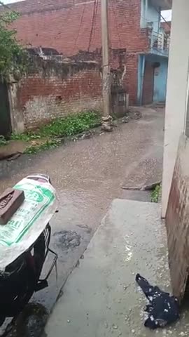 कानपुर: kanpur nagar Barra karrahi
#public #viral #treding ﻿
﻿#kanpur
