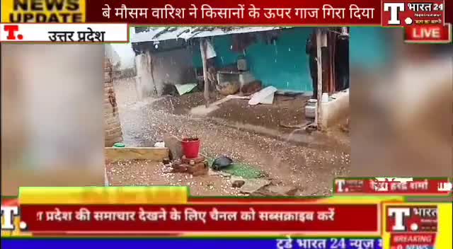 बे मौसम बारिश ओला बृति किसानों के ऊपर कहर सा बरस गया। #kushinagarnews