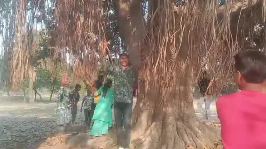 समदा के मसान बाबा में काभी संख्या में पहुंचे भक्त, किया दर्शन और पास लगे बरगद के पेड़ की शाखाओं में झूला झूला #reiganv