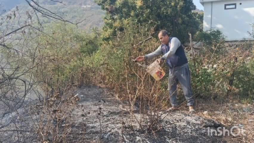बेतालघाट: भुजान क्षेत्र में कोसी नदी से सटी पहाड़ी में धधक उठी आग, आबादी वाले क्षेत्र तक पहुंचने से मचा हड़कंप