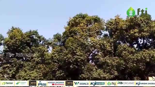 आम के बागों में सिंचाई कब और कितनी मात्रा में करें

#mangofarming #mango #agriculture #farmersofindia
