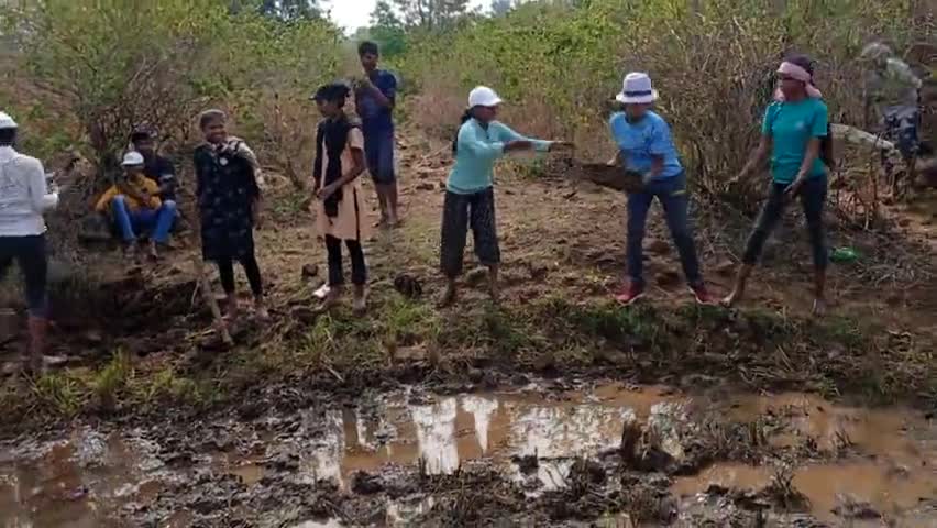 शहपुरा: NSS के स्वयं सेवकों द्वारा नाला बांध निर्माण कार्य कटंगी। #nss #trending #viral news