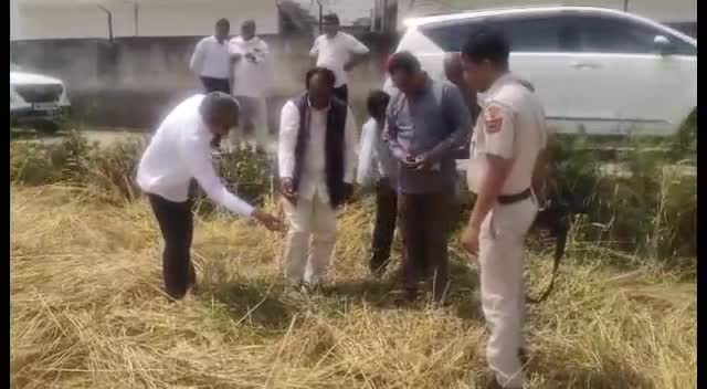 हसनपुर: होडल: होडल विधायक जगदीश नायर ने प्रशासनिक अधिकारियों के साथ मिलकर ओलावृष्टि वाले क्षेत्र का किया दौरा।