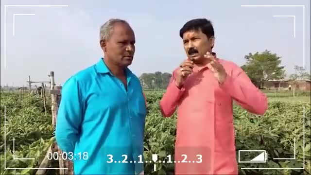 एक बीघे में बैगन की खेती से कैसे करें हजारों की कमाई

#bringal #farming #agriculturelife #farming