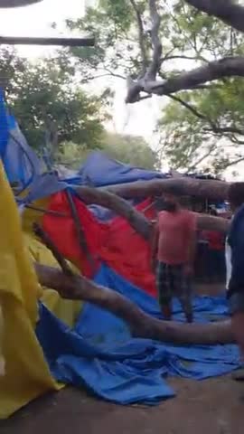 उन्नाव जिले के बारा सागवर  थाना क्षेत्र के कालिकन मंदिर के मेले में अचानक गिरा पेड़ जान मान का कोई नुकसान नही #news24