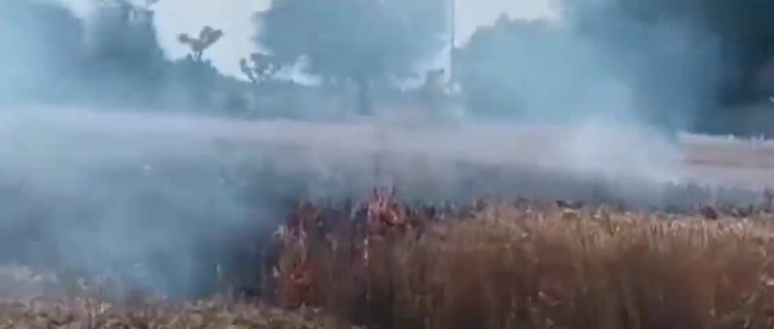 बहल: ढाणी रहीमपुर में 11 हजार वोल्टेज का विद्युत तार टूटकर गिरने से 2 एकड़ में खड़ी गेहूं की फसल जलकर हुई राख