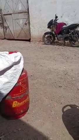 हुज़ूर: Ashok garden and Bharat Gas agency#vedio_viral #sort #ashoka #gardan
