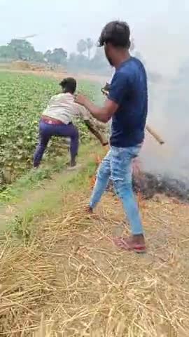 बिहार: upraura gaon me 12/04/2024 ko biljli ke Karan aag lagne se aaj gao ka ek Katha se jyada gehu jal ke barbad #aag