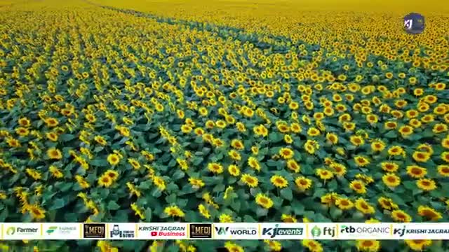 Lakhimpur: Gladiolus फूलों की खेती से किसान "अचल कुमार मिश्रा" जी को मिली सफलता, हुआ लाखों का मुनाफ
#flowers #farming