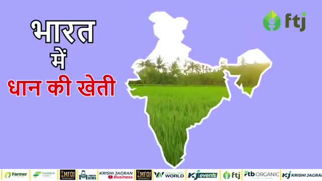 सीड ड्रिल विधि से धान की खेती का आसान तरीका

#agriculturesector #farm #farmersbenefits
