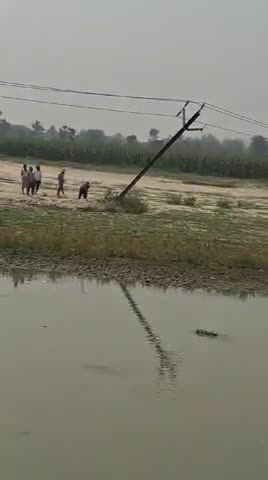 बिजली पोल गिर पड़ा, जिससे ग्रामीण क्षेत्रों में सही तरीके से कार्य नही हुआ है #Araria #अररिया