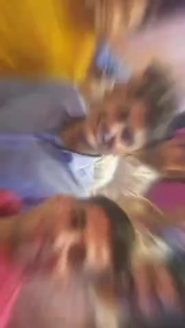 Weeding Shadi | Ytshorts | Shorts | Viral | Trending |
Dance | Viral | Reels | Trending | Ytshorts | Shorts|
#dance