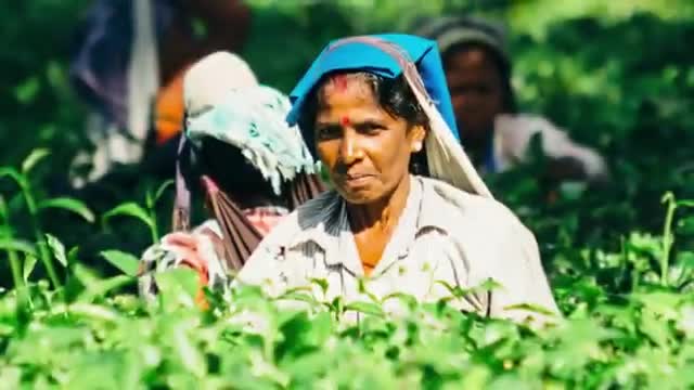क्या पीएम किसान योजना के लाभार्थी मानधन योजना का लाभ उठा सकते हैं? ये है वास्तव सच
#pmkisanyojana #pmkisan #agriculture