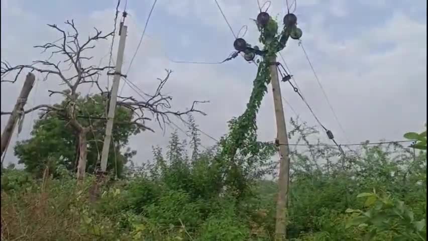 దంతాలపల్లి: బీరిశెట్టిగూడెంలో ఈదురుగాలులతో దెబ్బతిని పడిపోయే స్థితికి చేరుకున్న విద్యుత్ స్తంభాలు