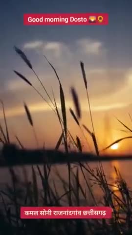 *https://youtube.com/shorts/S5LVkLDcjx8?feature=shared*
*👉Good morning Dosto 🌄🌻🌞#goodmorningvideo #flowres #mousam*