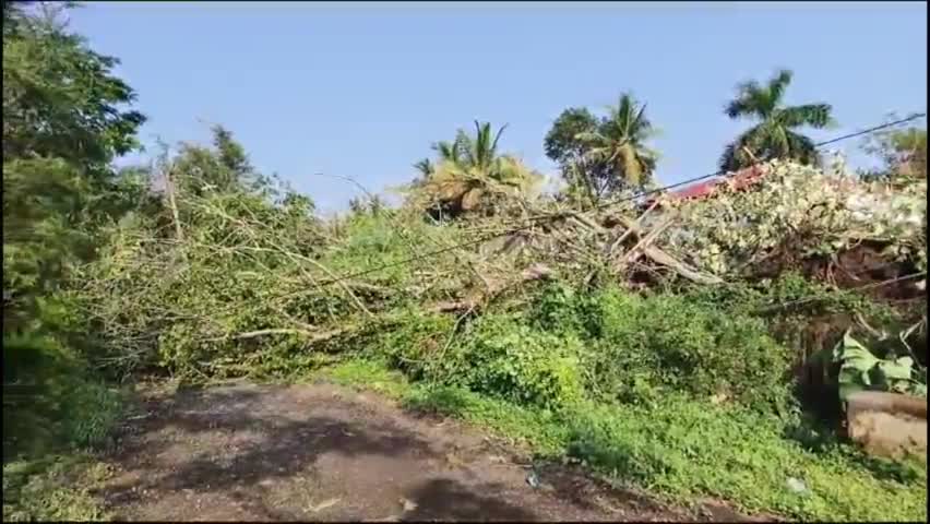 ನಿಪ್ಪಾಣಿ: ಪಟ್ಟಣದಲ್ಲಿ ಸುರಿದ ಮಳೆ ಗಾಳಿಗೆ ಜನ ಜೀವನ ಅಸ್ತವ್ಯಸ್ತ, ಸ್ಥಳಕ್ಕೆ ಪುರಸಭೆ ಮುಖ್ಯಾಧಿಕಾರಿ ಜಗದೀಶ ಹುಲಿಗೆಜ್ಜೆ ಭೇಟಿ