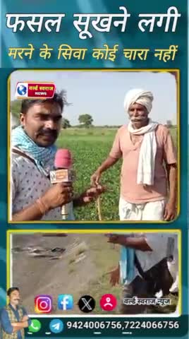 #हरदा यदि फसल में पानी नहीं मिला तो मरने के सिवा कोई चारा नहीं #short #viral #viralreels #viralposts