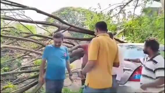 ನಿಪ್ಪಾಣಿ: ನಿಪ್ಪಾಣಿ ಪಟ್ಟಣದಲ್ಲಿ ಮಳೆಗಾಳಿಯಿಂದ ಗಿಡ ಮರಗಳು  ವಿದ್ಯುತ ಕಂಬಗಳು ಬಿದ್ದ ಹಿನ್ನೆಲೆ ಘಟನಾ ಸ್ಥಳಕ್ಕೆ ಪುರಸಭೆ ಮುಖ್ಯಾಧಿಕಾರಿ ಜಗದೀಶ ಬೇಟಿ