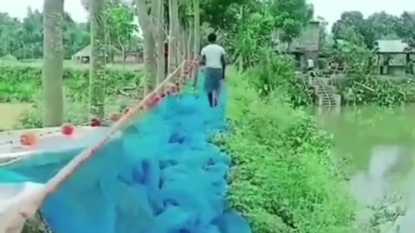 নবগ্রাম: রঘুপুরে পুকুর থেকে মাছ চুরি, থানায় অভিযোগ দায়ের