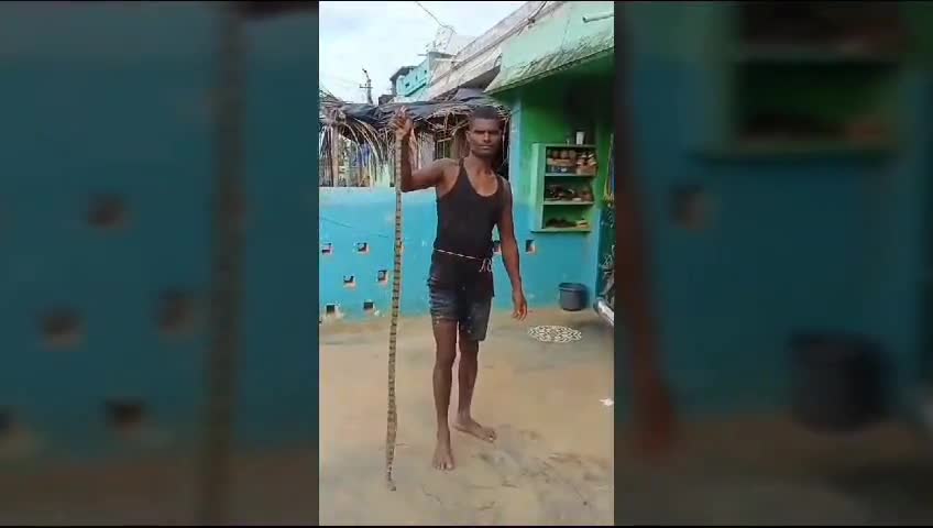 పలాస: వజ్రపు కొత్తూరు మండలం మంచినీళ్ల పేట సముద్రతీరంలో మత్స్యకారుల వలకు చిక్కిన అరుదైన సముద్రపాము