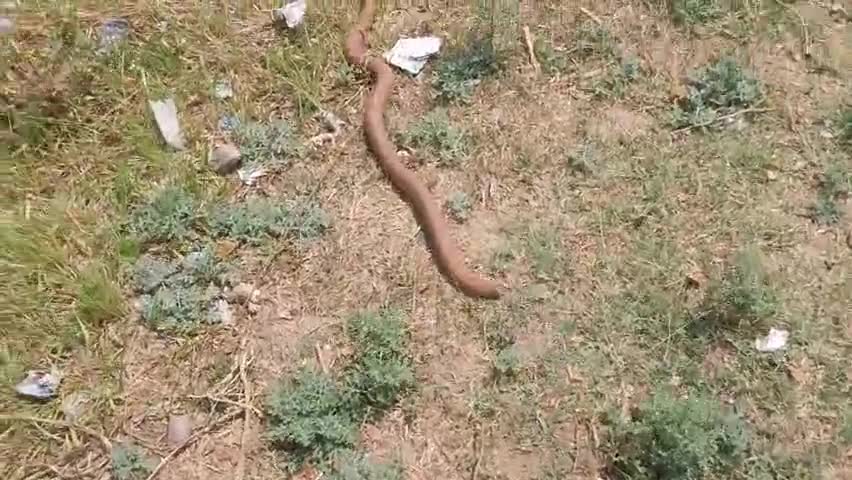 लक्ष्मी के दर्शन  करते शुभम जाटव
#मैनपुरी #आगरा #कानपुर #गुड़गांव #करहल #इलाहाबाद #झांसी #ललितपुर #काशी #दिल्ली #एटा