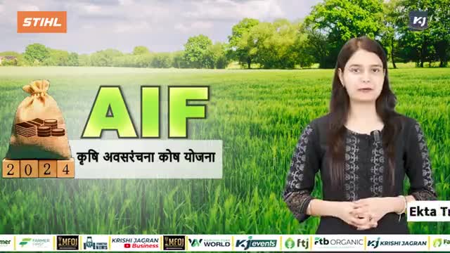 किसानों के लिए वरदान है AIF Scheme, सालाना कर सकते हैं 6 लाख रुपये तक की बचत, जानें कैसे करें आवेदन

#agriculture #farm