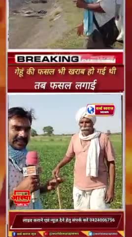 #हरदा किसान का दर्द,बर्बाद हो गए ,नहीं मिला पानी #short #shorts #viralreels #viralreels #reels