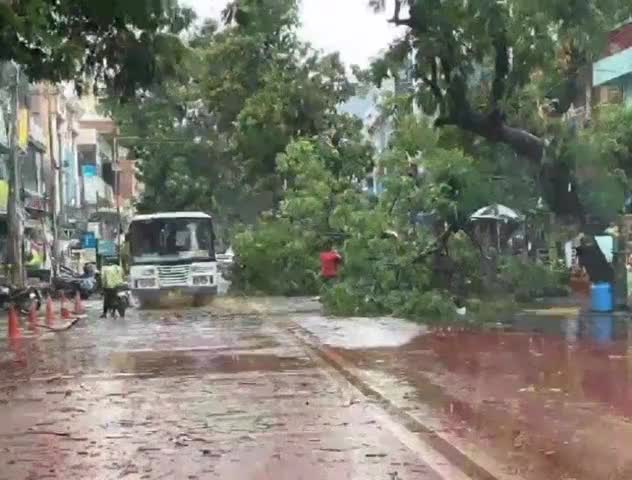 అబ్దుల్లాపూర్ మెట్: వనస్థలిపురం ప్రాంతంలో గాలి వాన బీభత్సం సృష్టించాయి. రోడ్డుపైన విరిగి పడిపోయిన చెట్లు