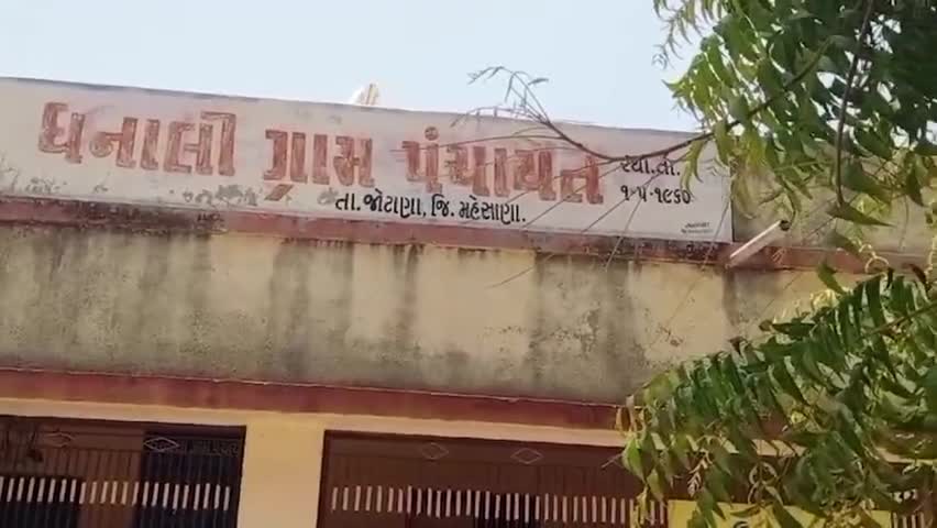 જોટાણા: ધનાલી ગામે માખીઓના ઉપદ્રવથી ગામલોકો પરેશાન