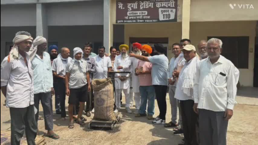 बराड़ा: भाकियू-चढूनी ग्रुप ने सोमवार से बराड़ा में शुरू कराई सूरजमुखी की खरीद, किसानों ने ली राहत की सांस