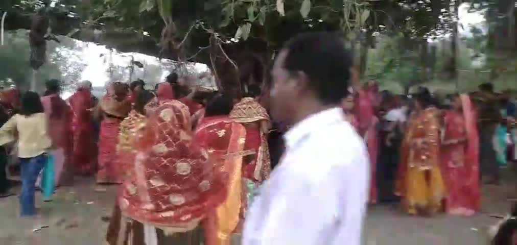 जमुई जिले में धूमधाम से की गई बट सावित्री की पूजा #आस्था