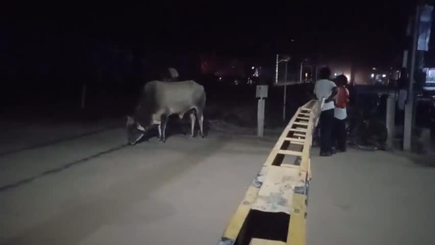 ओम कॉलोनी फाटक के बीच मालगाड़ी का हुआ इंजन फेल, लोगो को हुई आवागमन में दिक्कत 
#highlight #churunews #Railweynews