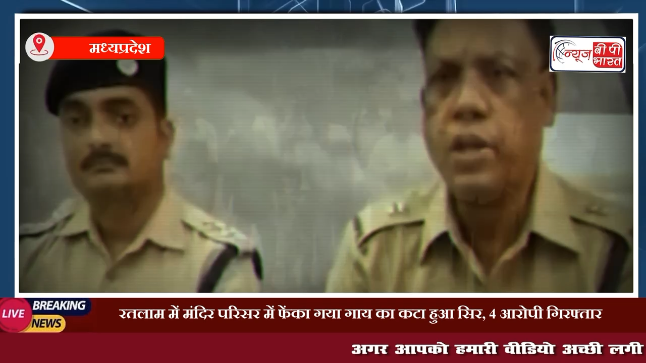 रतलाम में मंदिर परिसर में फेंका गया गाय का कटा हुआ सिर, 4 आरोपी गिरफ्तार
#रतलाम #मंदिर #गाय #मर्डर #न्यूज़ #प्रेस #ब्रेकिंग #इंडिया_न्यूज़ #न्यूज़बीपीभारत #MP #एमपी_न्यूज़