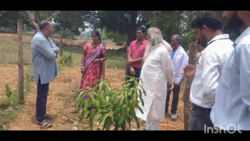 आनंदपुर: आनंदपुर -  प्रखंड के तेतुलडीह गांव के नवाडीह टोला में बुधवार को जेबीदा हांसदा टीम एवं बीडीओ ने आम बागवानी का निरीक्षण कि