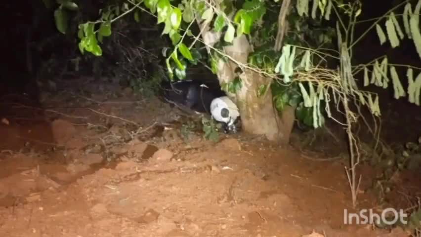 కరకగూడెం: పినపాక మండలం ఐలాపురం వద్ద చెట్టును ఢీకొన్న ద్విచక్ర వాహనం, యువకుడు మృతి