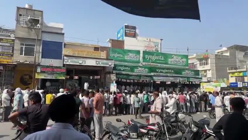 #Savannah Seeds Pvt Ltd 
सवा 7501 धान की पूरे भारत में किसान की पहली पसंद ।सवा 7501 सवा  7501 
धानो में धान सवा धान #@