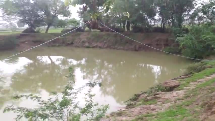 gram Panchayat garu m. MANREGA chal raha hai jismein farjivada ho raha hai genda hoori pokhar