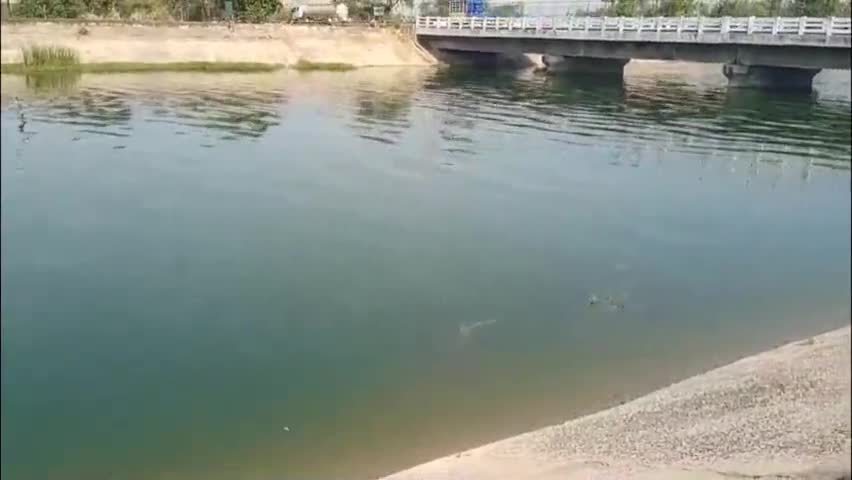 હારીજ: કુરેજા કેનાલમાં મોતની છલાંગ લગાવનાર ધોકાવાડા ગામના યુવાનની ભારે શોધખોળ બાદ લાશ મળી આવી