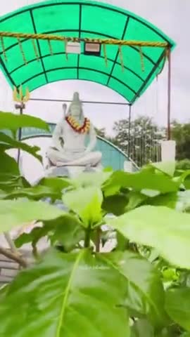 सत्य शिव हैं, अनंत शिव हैं
अनादि शिव हैं, ओंकार शिव हैं
शिव ही ब्रह्म, शिव ही शक्ति हैं.
सावन की हार्दिक शुभकामनाएं
 #shivshankar #savannah #savannahga