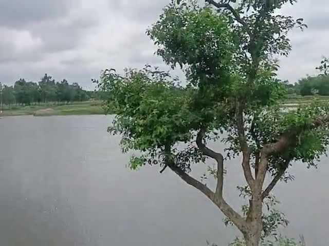 udgara पंचायत की घटना की खबर#udgara #pothiya kishanganj
