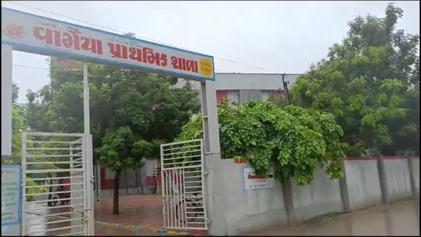 સરસ્વતી: સરસ્વતી:વામૈયા પ્રાથમિક શાળા આગળ ગંદકી દૂર કરી દેવાનો છંટકાવ કરવા જિલ્લા વિકાસ અધિકારીને રજૂઆત કરાઈ