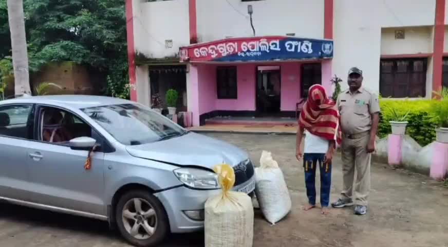 ଗୁଣୁପୁର: କେନ୍ଦୁଗୁଡା ଫାଣ୍ଡି ନିକଟରୁ ୪୭ କିଲୋଗ୍ରାମ ଗଞ୍ଜେଇ ସହ କାର ଜବତ; ଜଣେ ଗିରଫ, କୋର୍ଟଚାଲାଣ