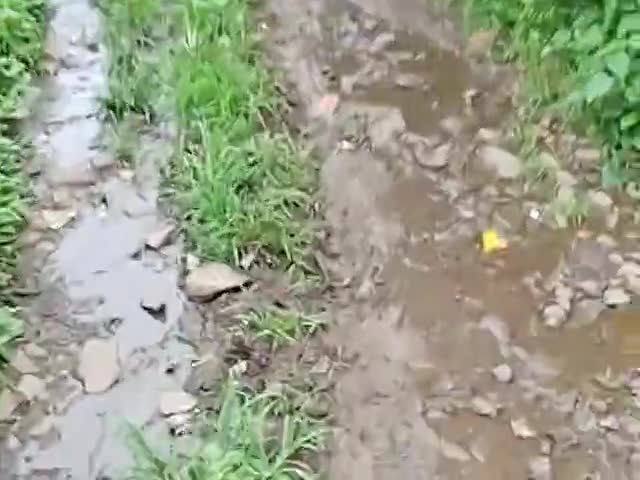शामगढ़ गांव बांसखेड़ी जिला मंदसौर ग्राम पंचायत सरकार के पास और पंचायत के बजट में नहीं है