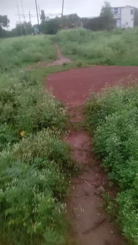 Jawahar Colony main Road  nahi hai Nali Naal light nahi hai Pani Bhi Nahin Jo plant bech raha hai vah Road Nahin banaa