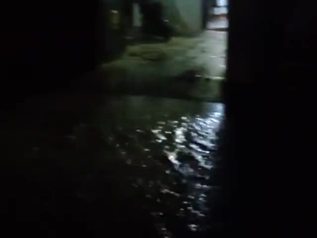 Bhawargarh me badh...👀🥺😨