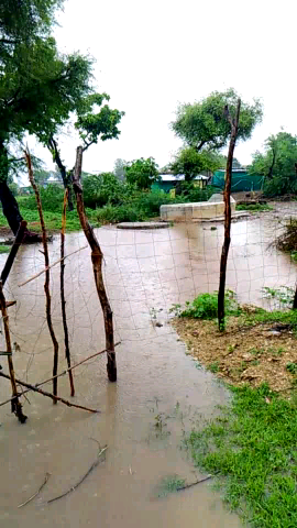 छापरी ढाबला माधोसिंह
तहसील भानपुरा