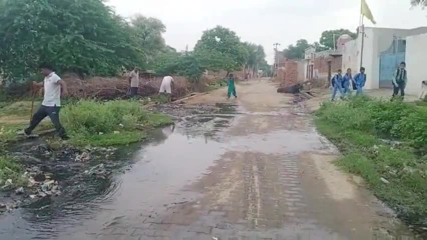 badhra dhanak samaj ke sabhi sathi safai abhiyaan karte huye#sonusai
#safai abhiyan