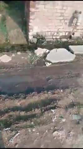 कुसमरा के पास बहरामऊ की वीडियो है